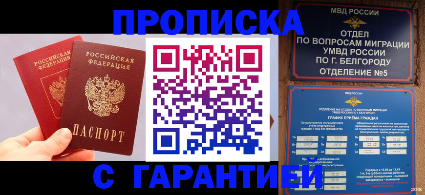 прописка 2025 в Дедовске